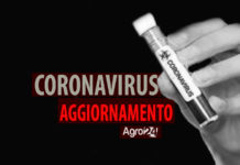 Coronavirus aggiornamento